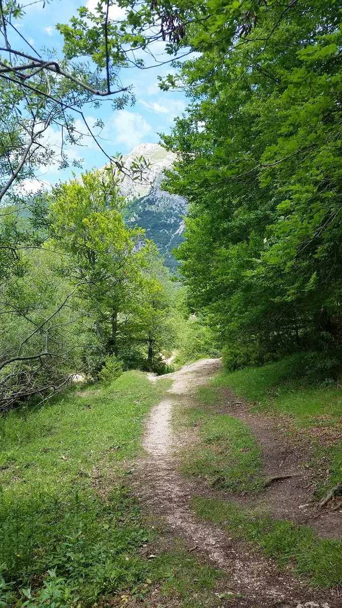 Wanderweg im Val Fondillo im Nationalpark Abruzzen, Latium und Molise