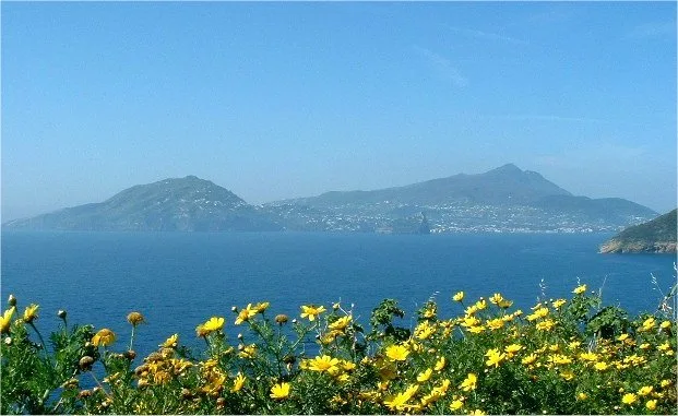 Die Insel Ischia im Golf von Neapel