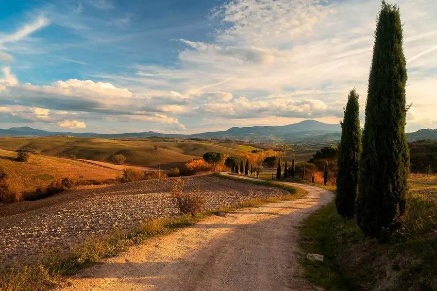 Zypressen und Hügellandschaft im Val d’Orcia in der Toskana